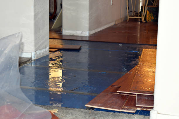 Professional Water Damage Restoration technician working in Lewisville, TX